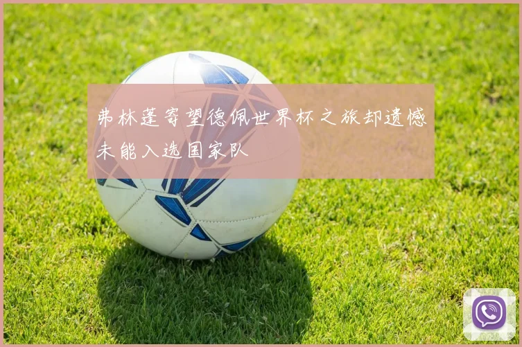弗林蓬寄望德佩世界杯之旅却遗憾未能入选国家队