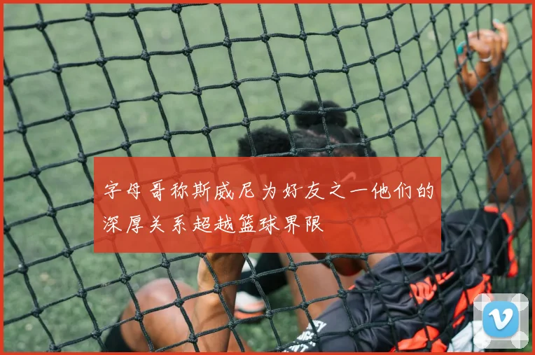 字母哥称斯威尼为好友之一他们的深厚关系超越篮球界限